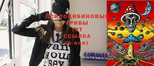 спиды Магас
