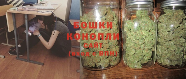 винт Аркадак