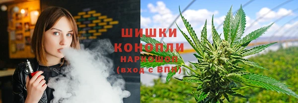 дурь Арсеньев