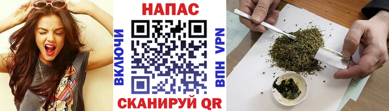 Бошки марихуана Bruce Banner  hydra ссылка  Пугачёв 